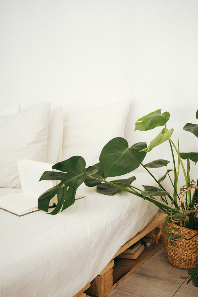 Increase Productivity with Rituals and Routines